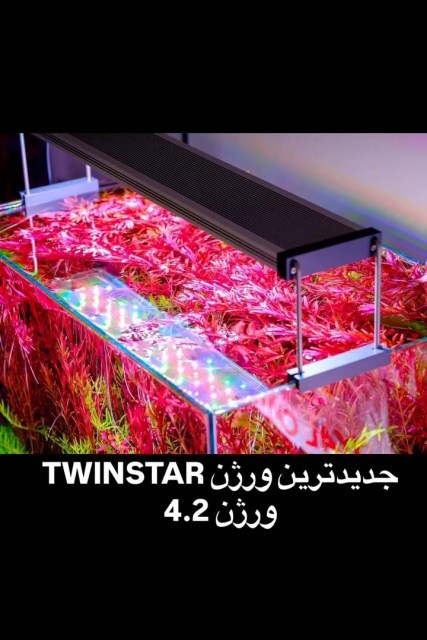 twinstar light 14030725 (1)